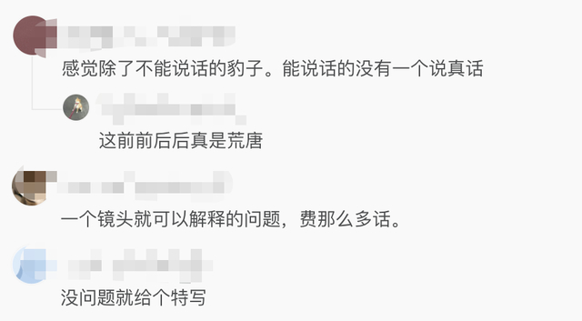 【专家判断第3只豹子或已死亡】第3只豹子野外生存超21天要么隐蔽起来了，要么可能已死亡