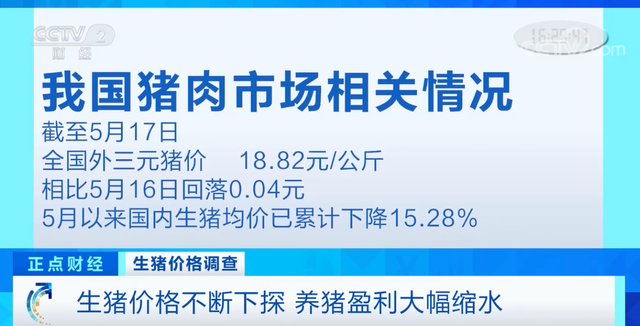 生猪价格跌破一斤10元 部分养殖户陷入亏损状态