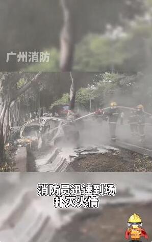 广州一特斯拉撞树后自燃，现场发生什么？