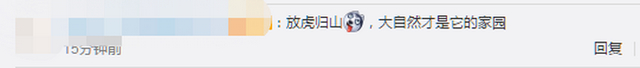 放虎归山!进村东北虎成功放归自然