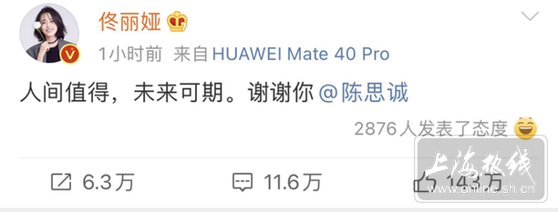 北京爱情故事结束!佟丽娅、陈思诚官宣离婚 评论一边倒太精彩