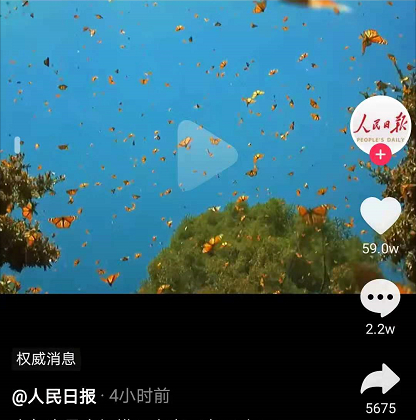 【奇观】云南现1.5亿只蝴蝶大爆发，杨丽萍与蝶共舞