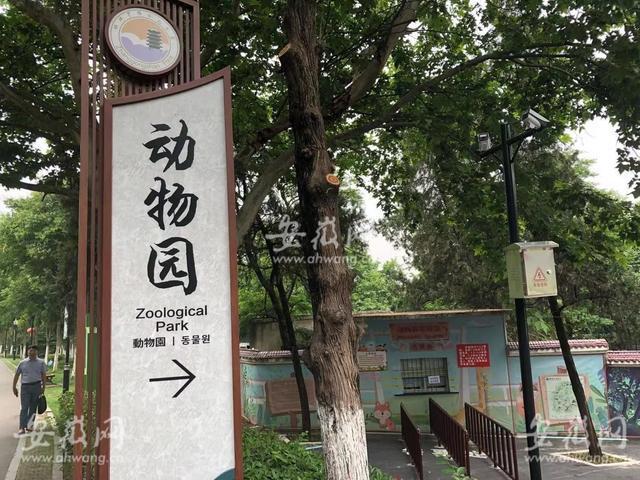 悲剧！安徽蚌埠市一饲养员被老虎袭击，不幸身亡