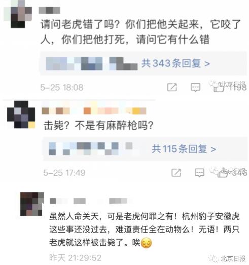 为何击毙两只老虎?河南公布细节 网友质疑:为何不用麻醉枪