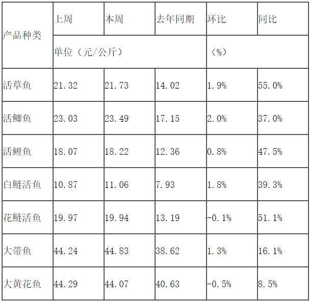 鱼肉价格上涨 10元以下一斤的活鱼难寻