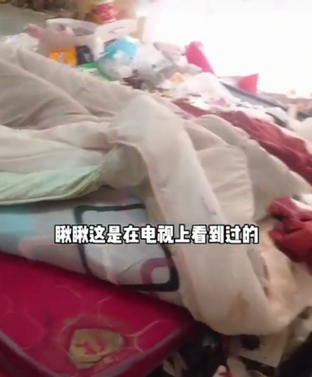 黑龙江女租客屋内垃圾成山，房东气炸称老鼠进屋都要开导航