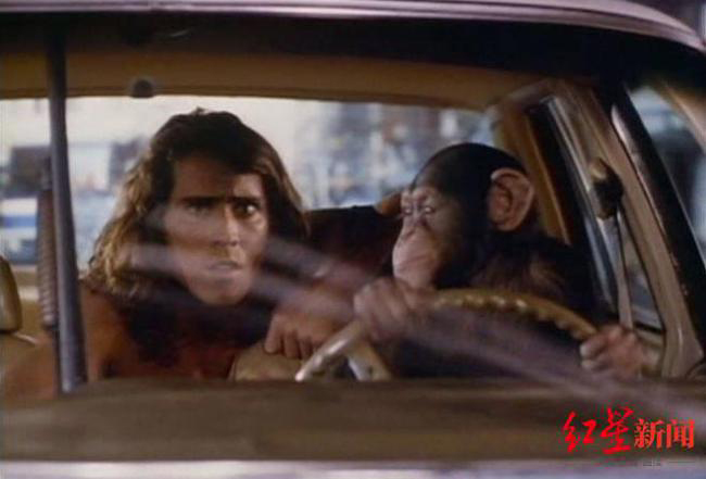 《人猿泰山》男主角乔·劳拉与妻子坠机去世，终年58岁！