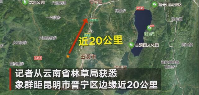 尽在掌握！云南象群新动向:已进诱导区域 应急处置工作正在进行