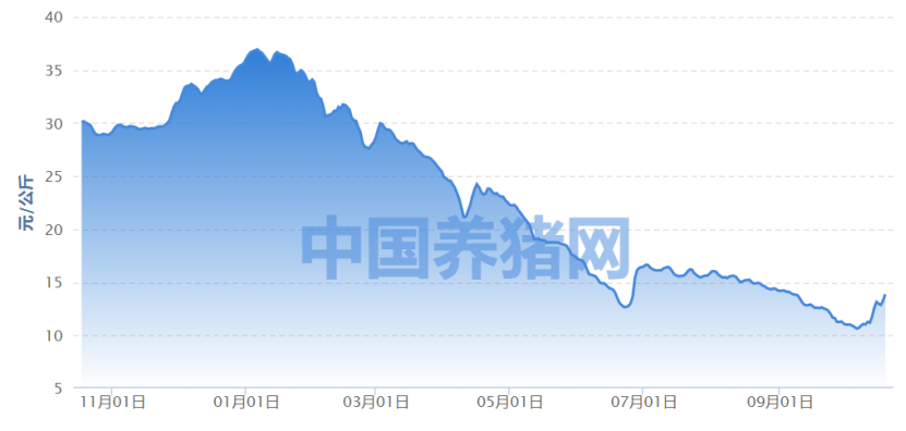 猪肉板块大幅拉升 机构：关注成本优势养殖头部企业