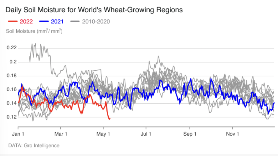 小麦库存只够十周！全球粮食危机逼近 俄乌冲突并非元凶