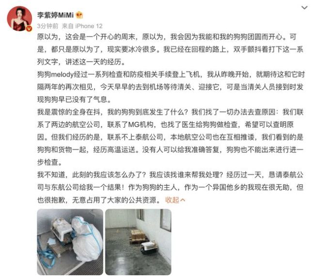 李紫婷方公开爱犬去世经过 称仍未有明确调查结果