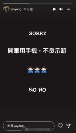 杨祐宁为开车用手机道歉 ：不良示范