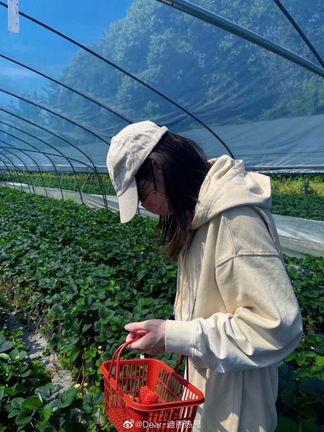 热巴分享摘草莓美照 手拿草莓开心炫耀