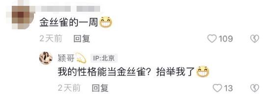 是汪小菲的金丝雀？张颖颖回怼：我的性格不会当