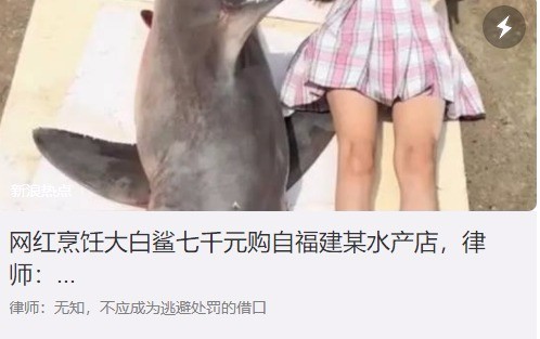 网红曾询问店家购买鲨鱼是否合法