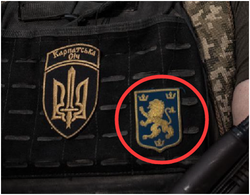 （图为乌克兰总统泽连斯基在乌克兰独立日当天贴出的一组士兵照片，其中图中这名士兵的胸前的一个狮子形状的徽记引发了争议）