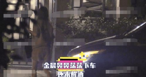 金晨王安宇同回小区被拍 和友人聚餐先后上车颇低调