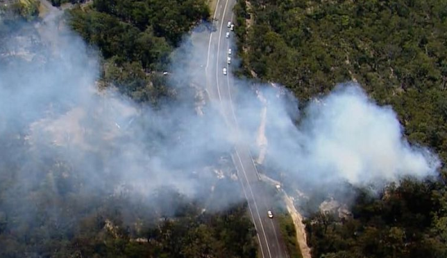 澳大利亚一飞机坠毁后引发丛林大火