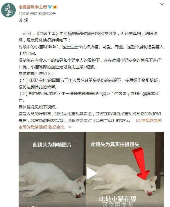 于正新剧陷虐猫风波 网曝他曾被经纪人斥利欲熏心