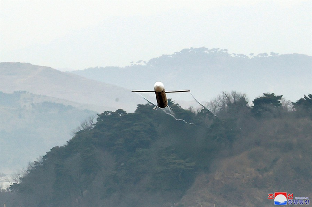 金正恩近距离观看巡航导弹低空飞行 指导各项军事活动