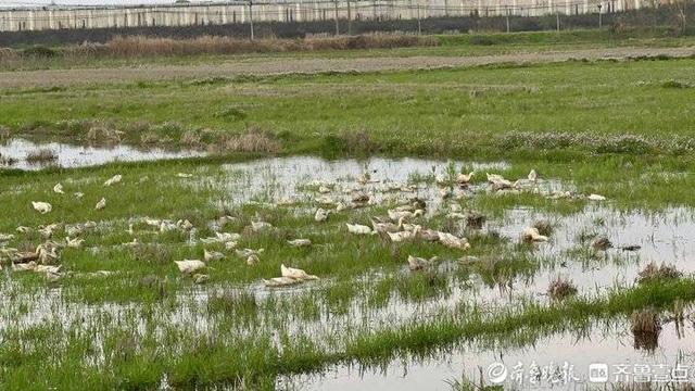 马英九祖辈生息地：湘江畔平静小镇 谁都不能忘记祖宗忘记根在哪里