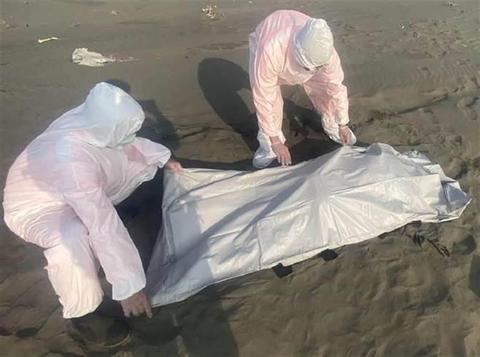 台媒称台湾西部沿海现“浮尸潮”：一个月发现20具遗体