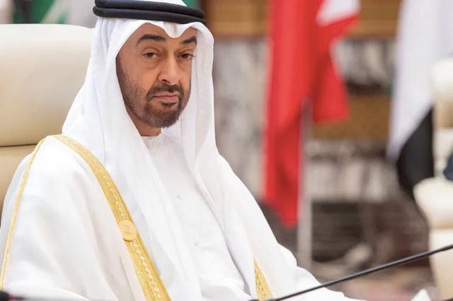 阿联酋总统任命新王储 外媒称其上位之路依然漫长