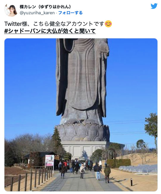 突破twitter封锁！来看女演员们的大佛普拉斯！