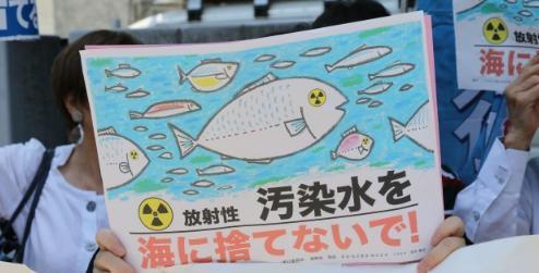 韩国人买鱼带辐射检测仪 专家：精准测量需超3小时，更多是安慰