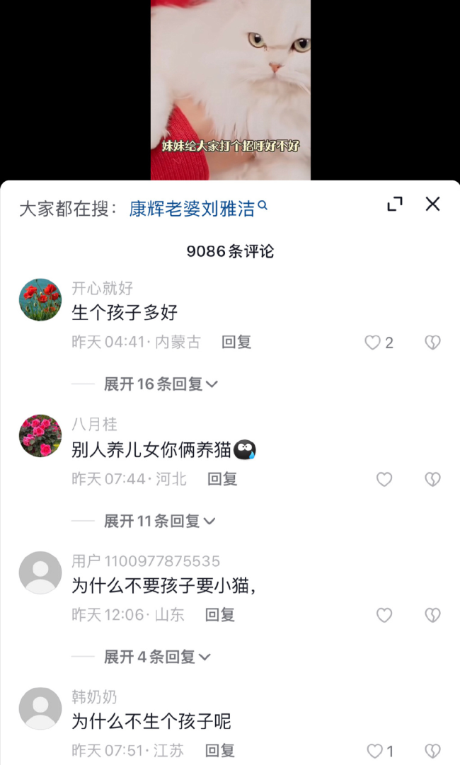 主持人康辉称在猫身上感受到“被需要”