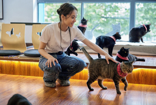 蔡依林拜访黑猫公益咖啡屋 救助故事引蔡依林落泪