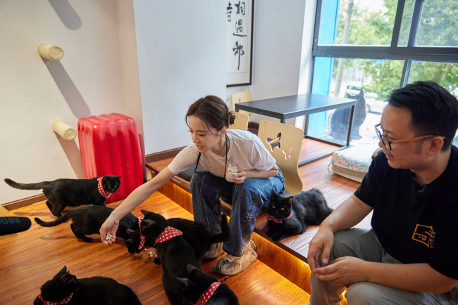 蔡依林拜访黑猫公益咖啡屋 救助故事引蔡依林落泪