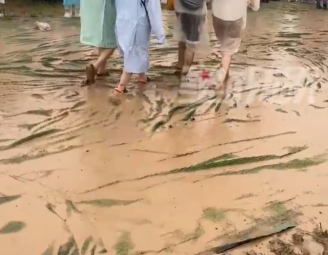 哈哈哈！音乐节现场遇大雨歌迷变身小泥人