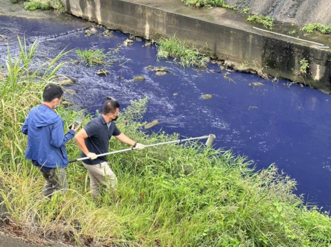 台媒：台湾新竹县德盛溪变“蓝色多瑙河”，大量鱼群暴毙，祸首找到了