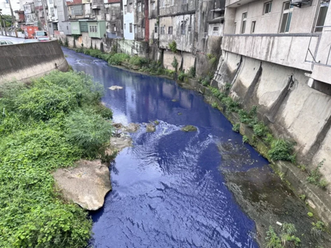 台媒：台湾新竹县德盛溪变“蓝色多瑙河”，大量鱼群暴毙，祸首找到了