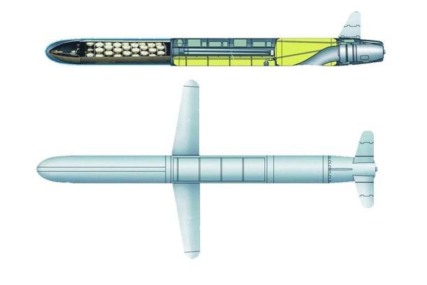 美媒称乌研发新巡航导弹 为打击俄纵深目标