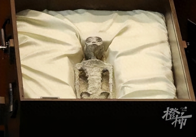 在墨西哥国会展示的两具“外星人遗体”，可能又是人为拼接的木乃伊？