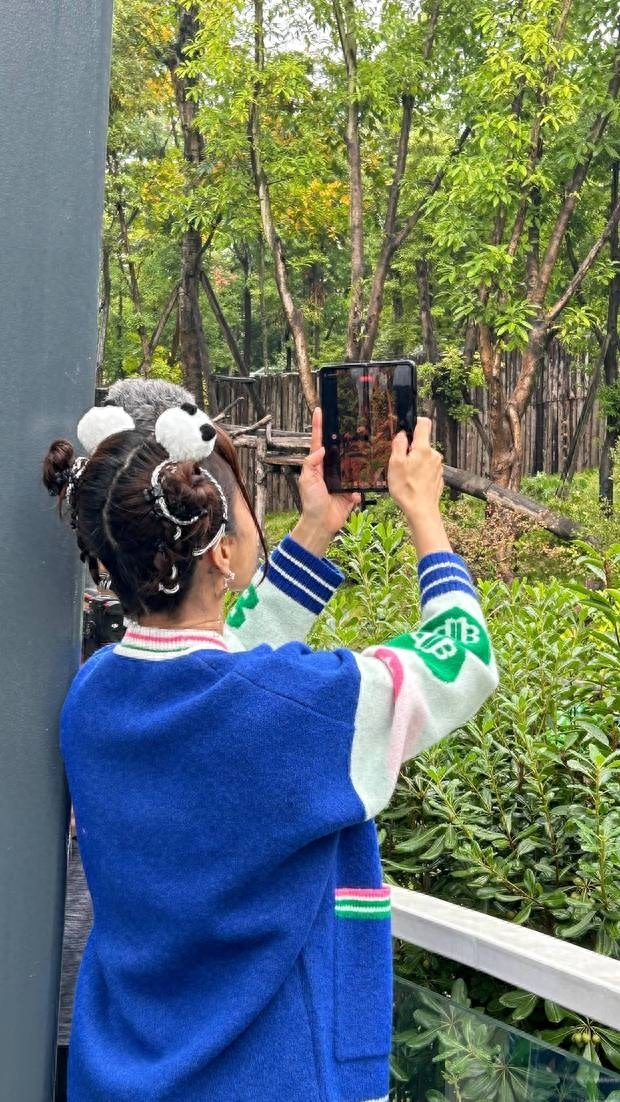 蔡依林踮脚高举手机看熊猫 被网友调侃像粉丝追星