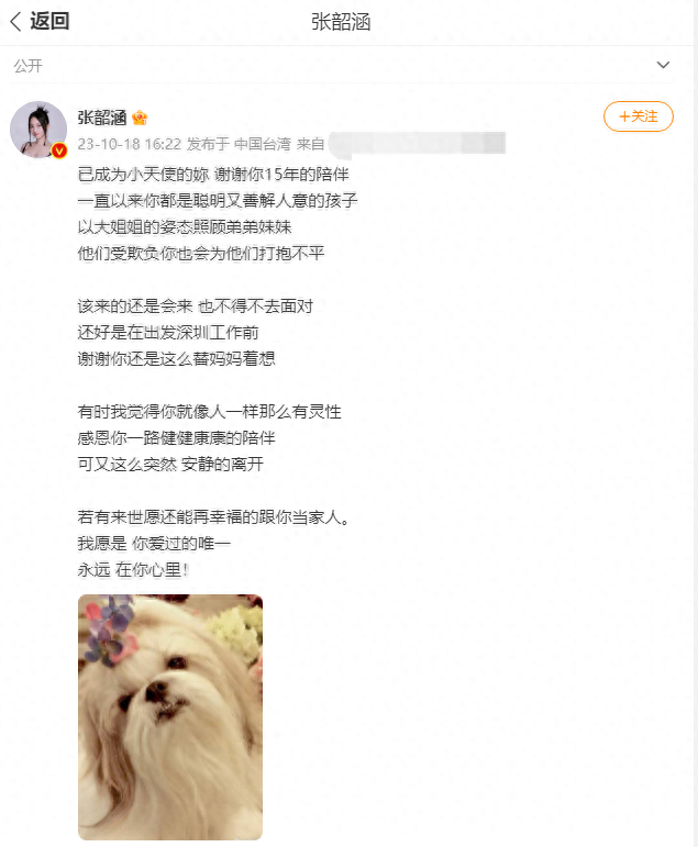 陪伴15年！张韶涵发文怀念去世的爱犬