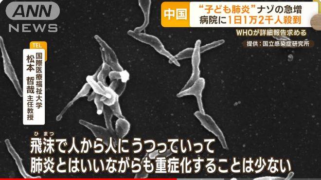 儿童肺炎中国医院1天1万以上患者，专家分析是否会在日本大流行？