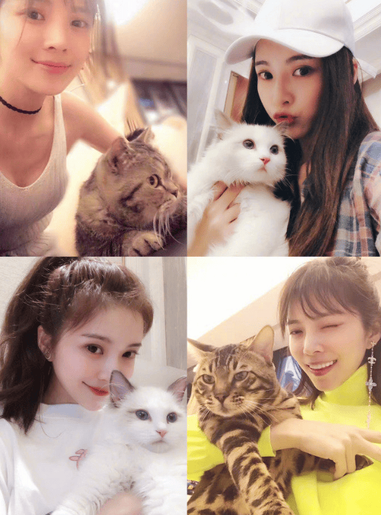杜淳妻子为网红小猫发声：请还悟空一个公道